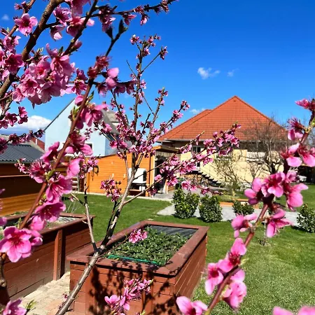 Negy Evszak Vendeghaz Apartment Nyul