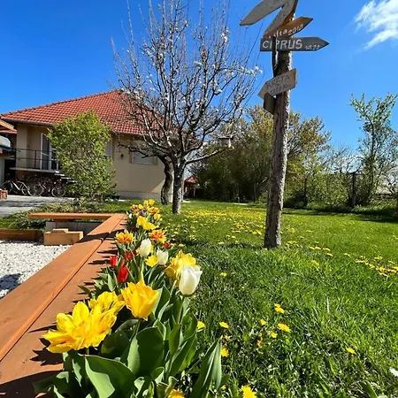 Negy Evszak Vendeghaz Apartamento